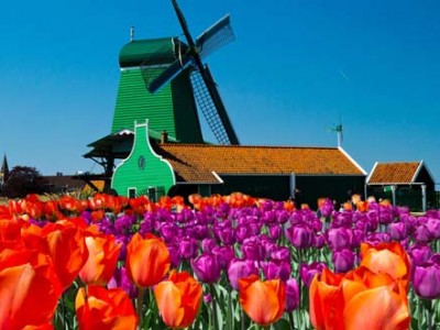 amsterdam-super-saver-3-city-tour-zaanse-schans-windmills-volendam-in-amsterdam-115706 copy